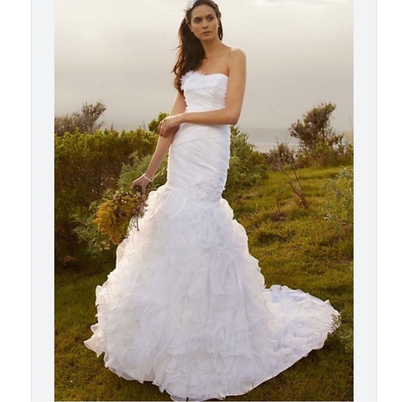 David's Bridal Organza Fit and Flare Gown with Vertical Ruffle size 12 - Picture 3 of 8